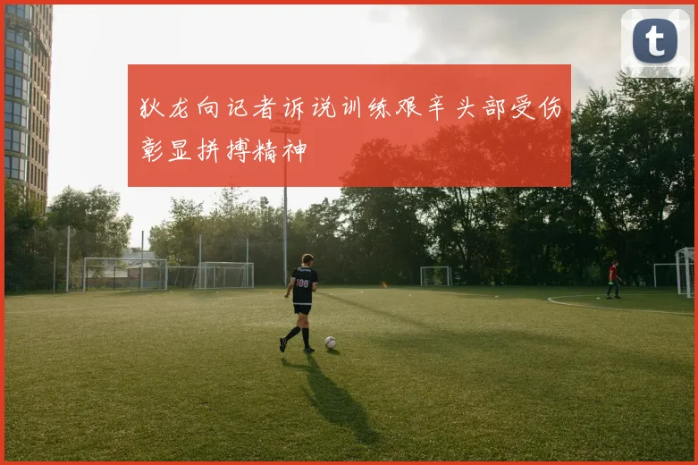 狄龙向记者诉说训练艰辛头部受伤彰显拼搏精神