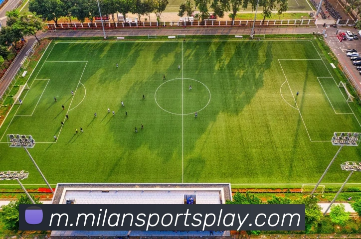 多媒体互动体验